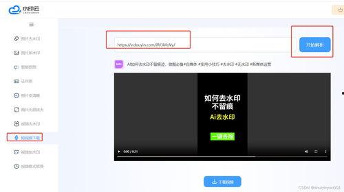 在线视频提取,探索[视频主题]的精彩瞬间